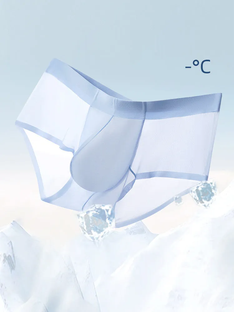 2 Pack Men's Ultra-Thin Ice Silk Breathable Quick-Dry Antibacterial Crotch Briefs