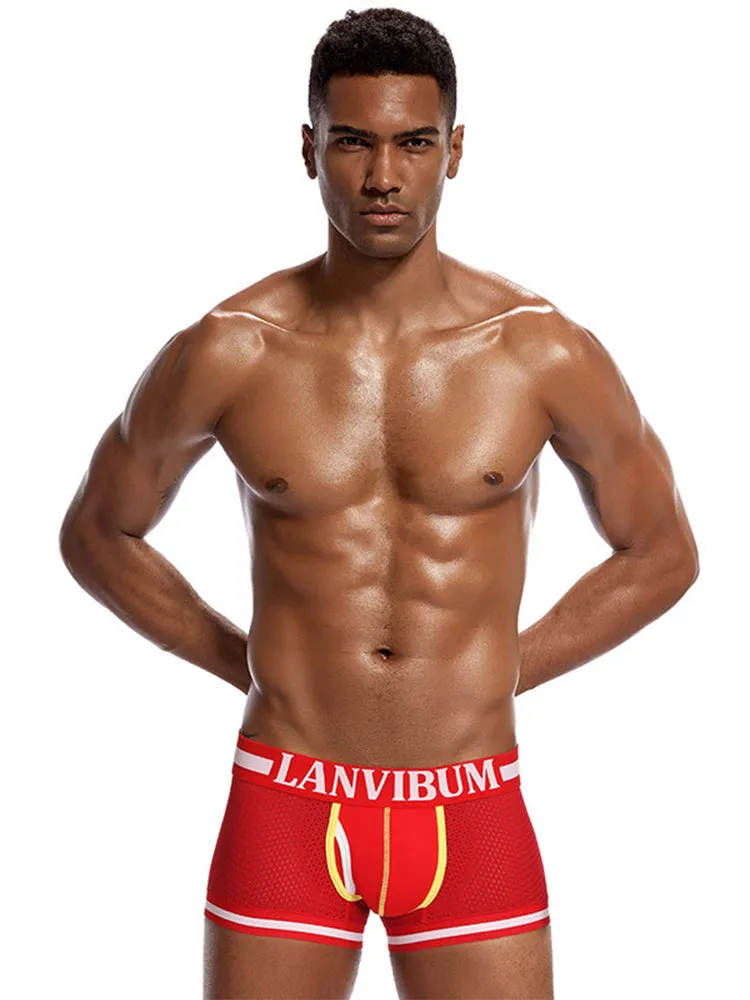 4 Pack Men's Mesh Breathable Quick-Dry Sexy Nylon Trunks